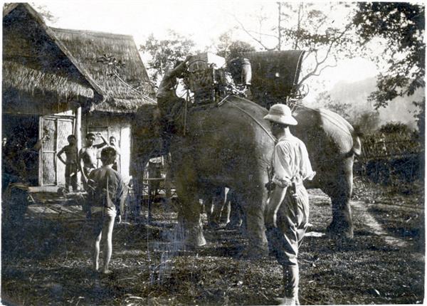 
N°1, Halles Centrales
-----* Saïgon *-----
