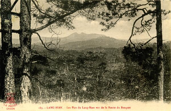 183. - LANG-BIAN. - Les Pics du Lang-Bian vus de la Route du Bosquet